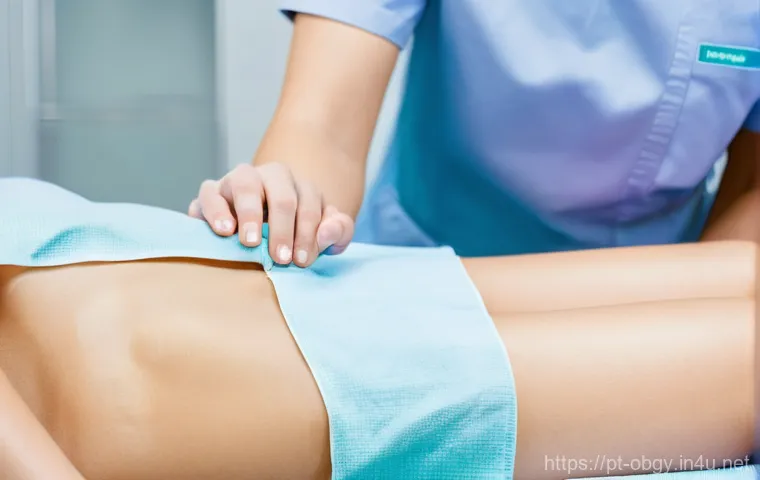 질 초음파 검사와 복부 초음파의 차이 - **Prompt for Transvaginal Ultrasound Image:**
"A clean, professional medical image depicting a c... 질 초음파 검사와 복부 초음파의 차이 - **Prompt for Transvaginal Ultrasound Image:**
"A clean, professional medical image depicting a c...