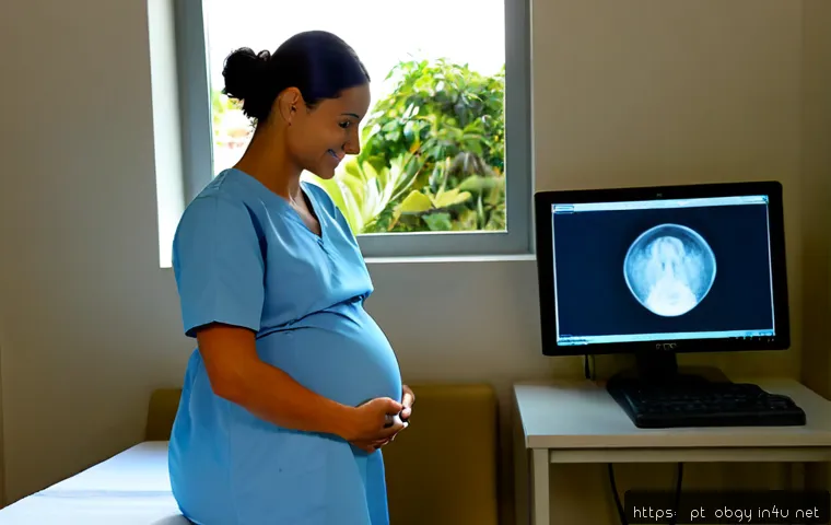 임신 중기 정기 검진에서 확인하는 사항 - Photorealistic prenatal checkup in a bright modern Brazilian maternity clinic, pregnant woman in her...